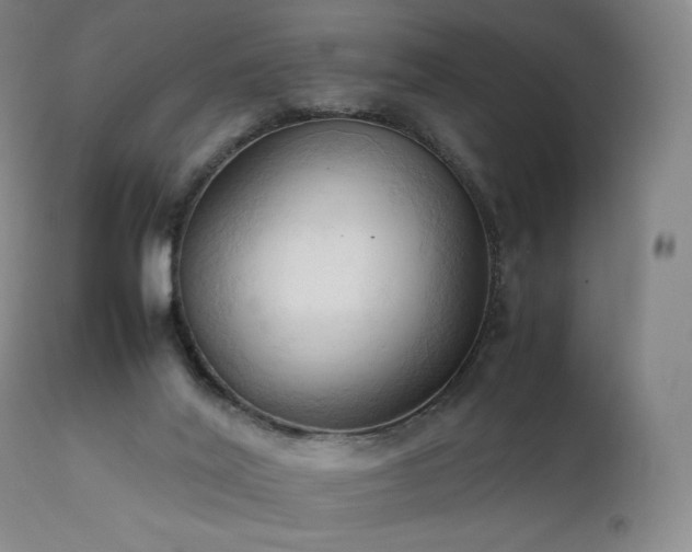 X0000111950020200907271448