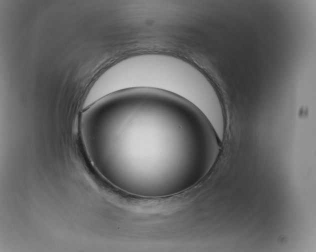 X0000111950021200907271448
