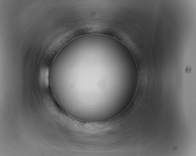 X0000111950022200907271448