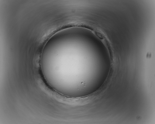 X0000111950023200907271448