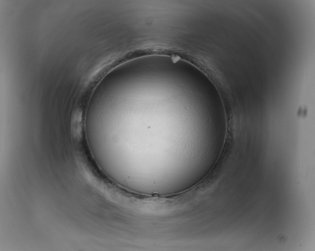 X0000111950024200907271448