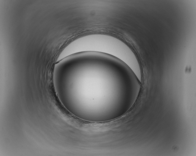 X0000111950025200907271448