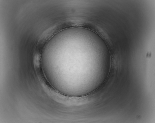 X0000111950026200907271448