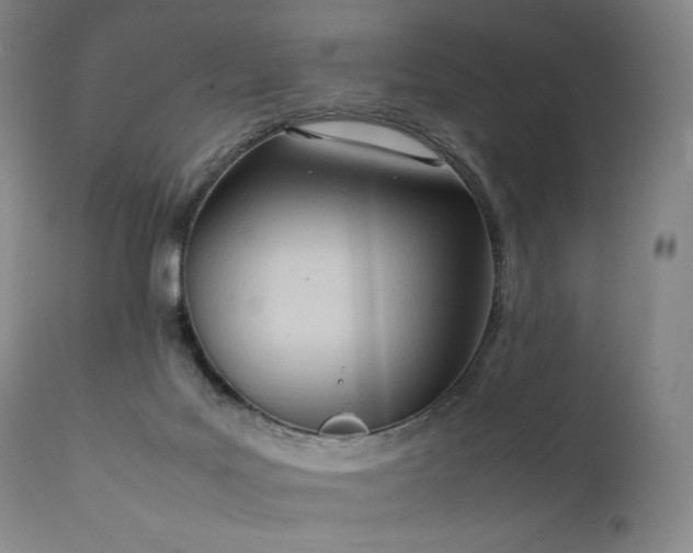 X0000111950027200907271448