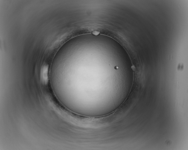 X0000111950028200907271448