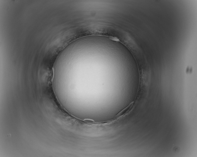 X0000111950029200907271448