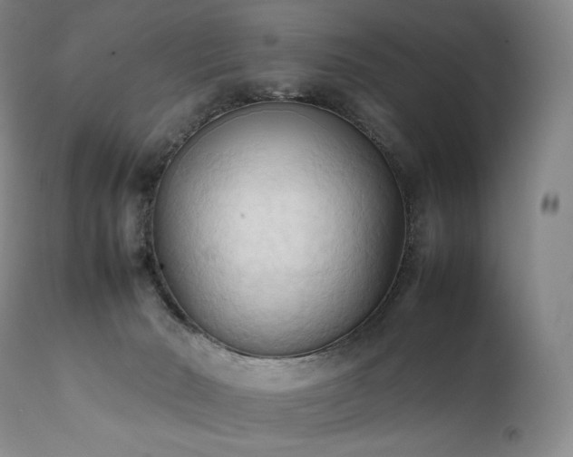 X0000111950030200907271448