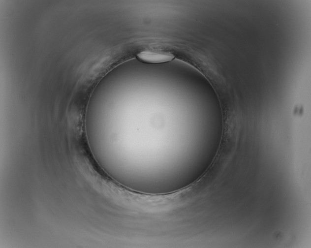X0000111950031200907271448