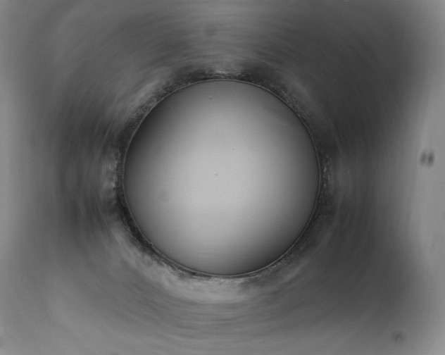 X0000111950032200907271448