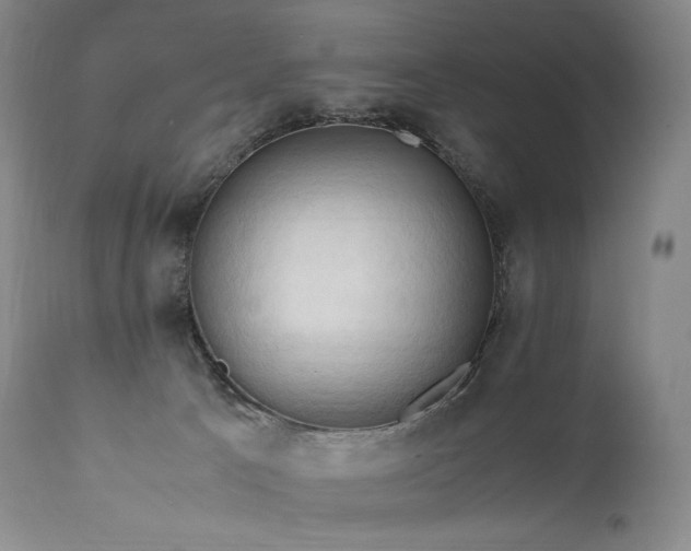 X0000111950033200907271448