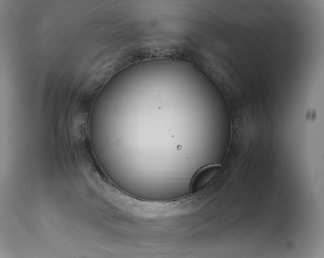 X0000111950034200907271448