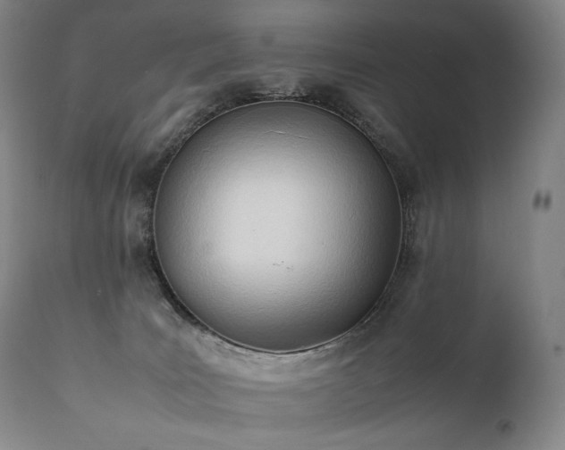 X0000111950035200907271448