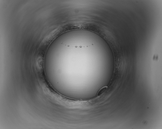 X0000111950036200907271448