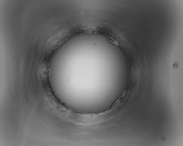 X0000111950037200907271448