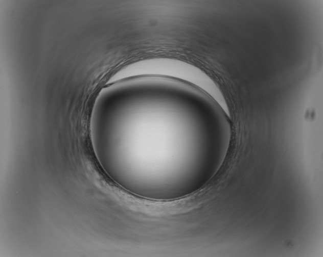 X0000111950039200907271448