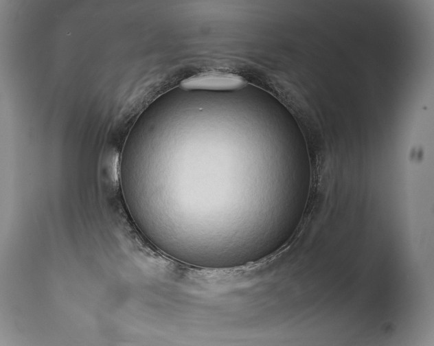 X0000111950041200907271448