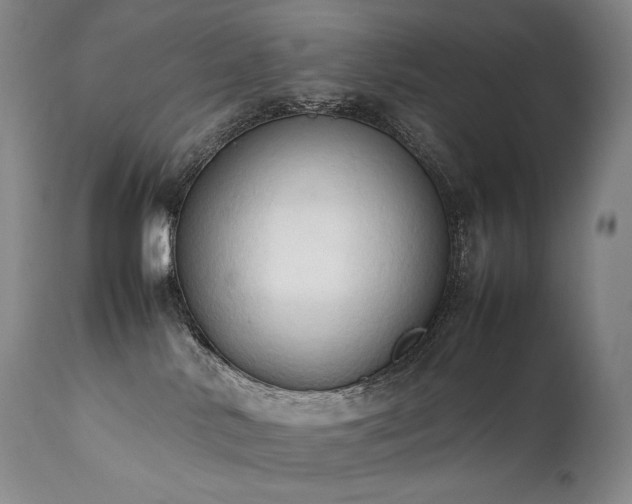 X0000111950042200907271448