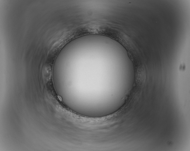 X0000111950043200907271448