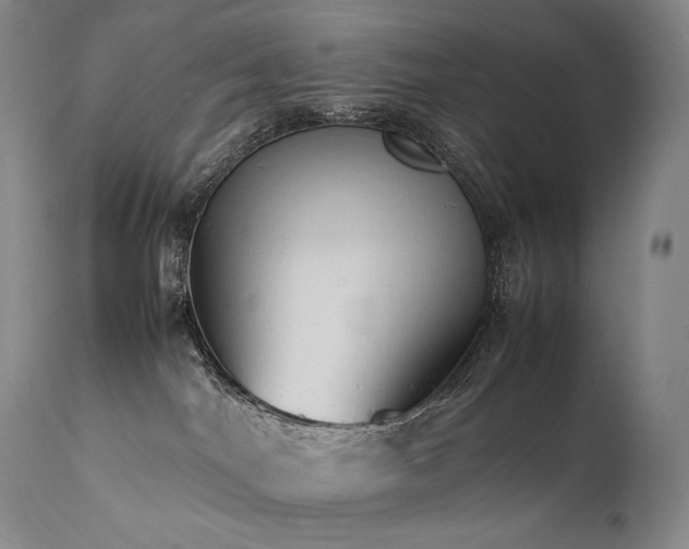 X0000111950044200907271448