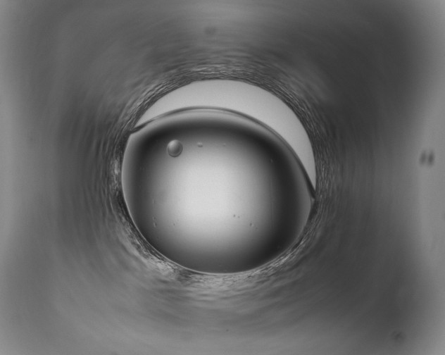 X0000111950045200907271448