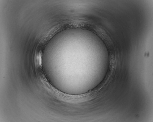 X0000111950046200907271448