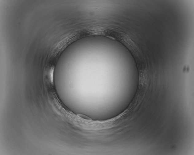 X0000111950047200907271447