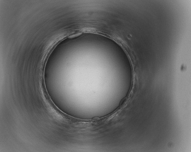 X0000111950049200907271447