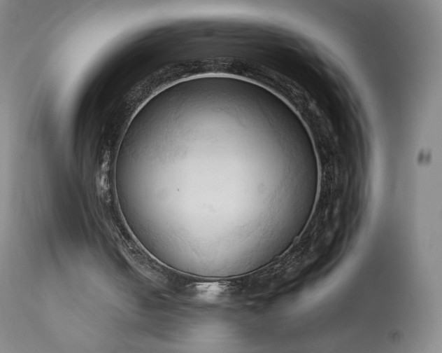 X0000111950050200907271447