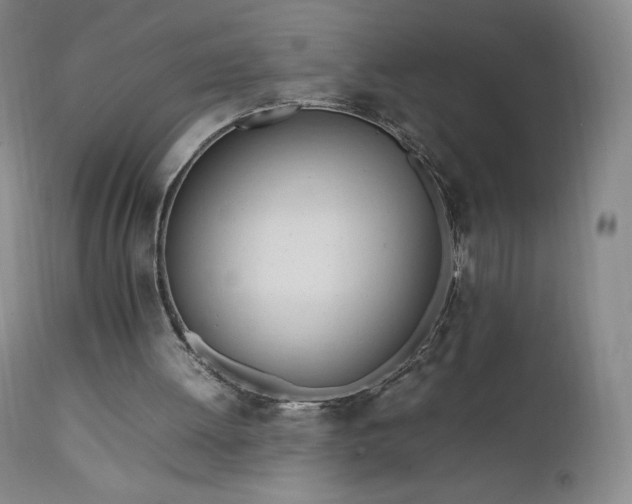 X0000111950052200907271447