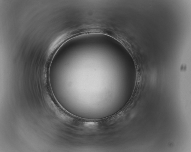 X0000111950053200907271447