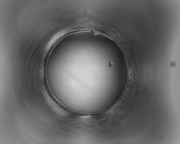 X0000111950054200907271447
