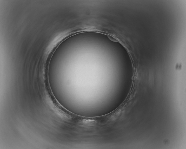 X0000111950055200907271447