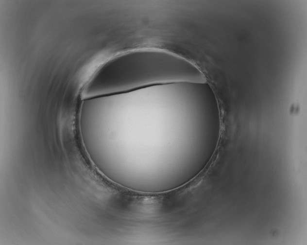 X0000111950056200907271447