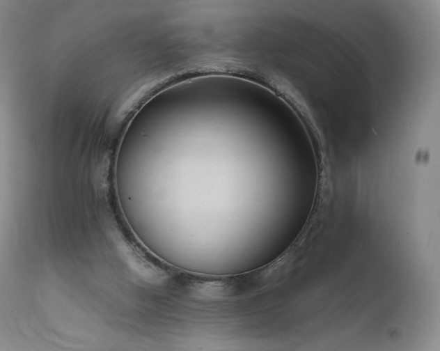 X0000111950058200907271447