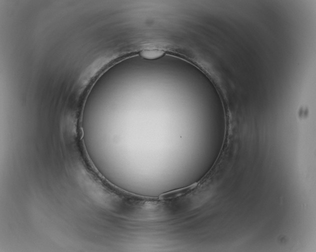 X0000111950060200907271447