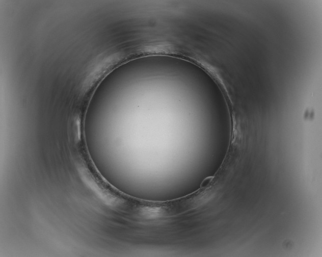 X0000111950061200907271447