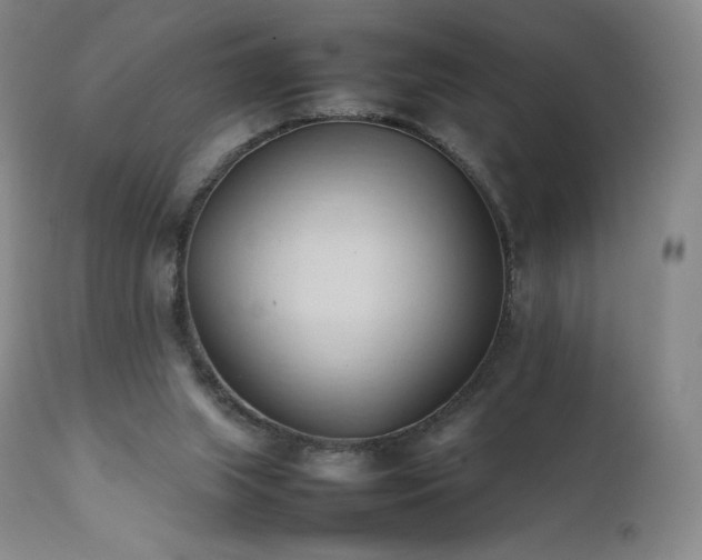 X0000111950063200907271447