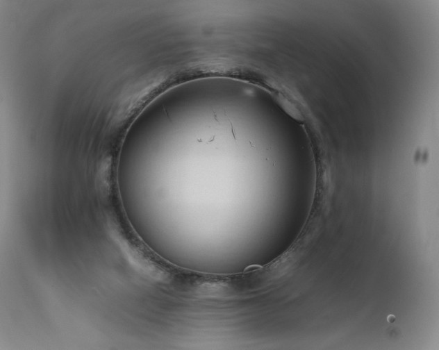 X0000111950066200907271447