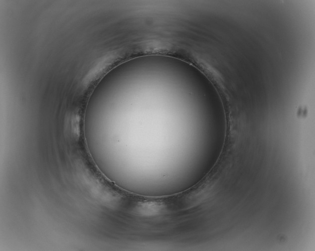 X0000111950067200907271447
