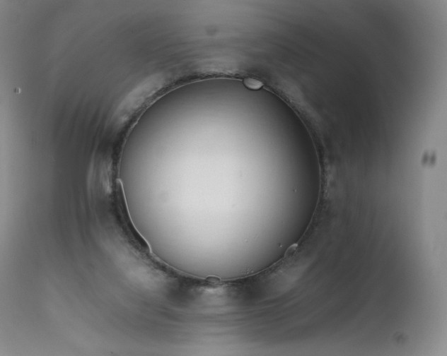 X0000111950068200907271447