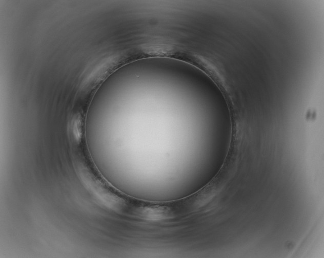 X0000111950069200907271447