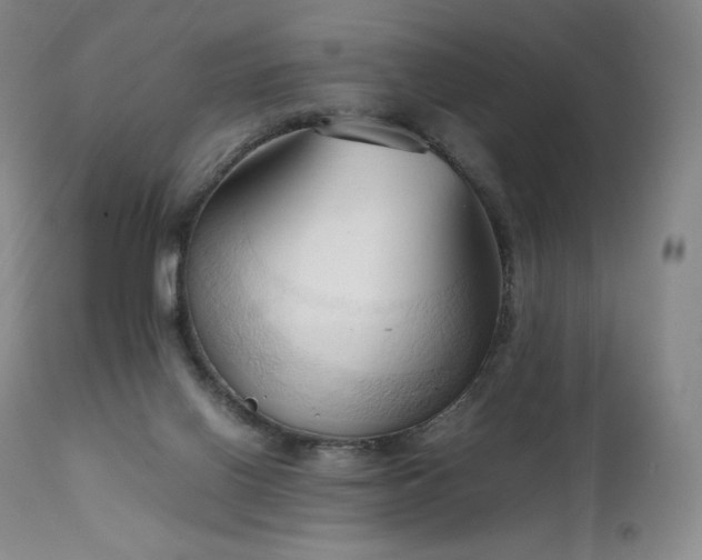 X0000111950070200907271447