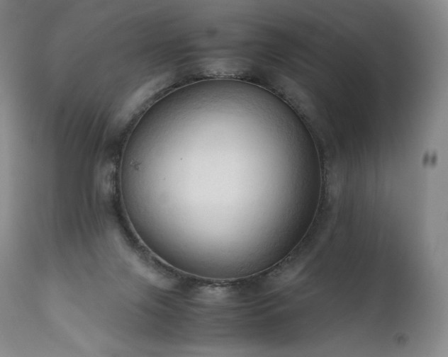 X0000111950071200907271447
