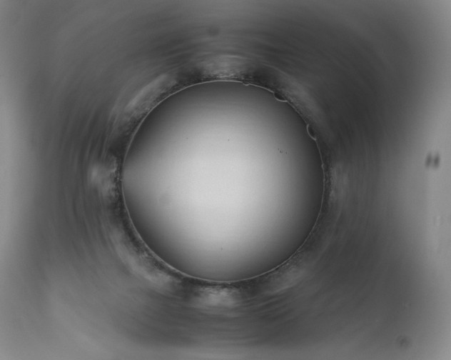 X0000111950073200907271447
