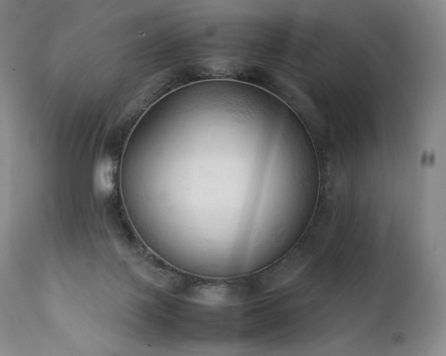 X0000111950075200907271447