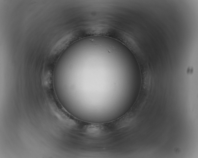 X0000111950077200907271447