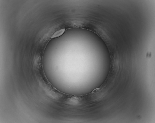 X0000111950079200907271447