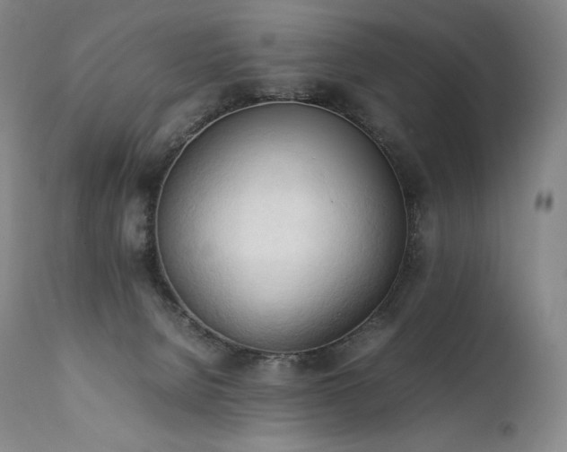 X0000111950080200907271447