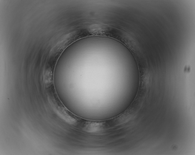 X0000111950081200907271447