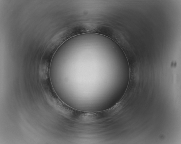 X0000111950082200907271447